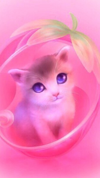 кошечка