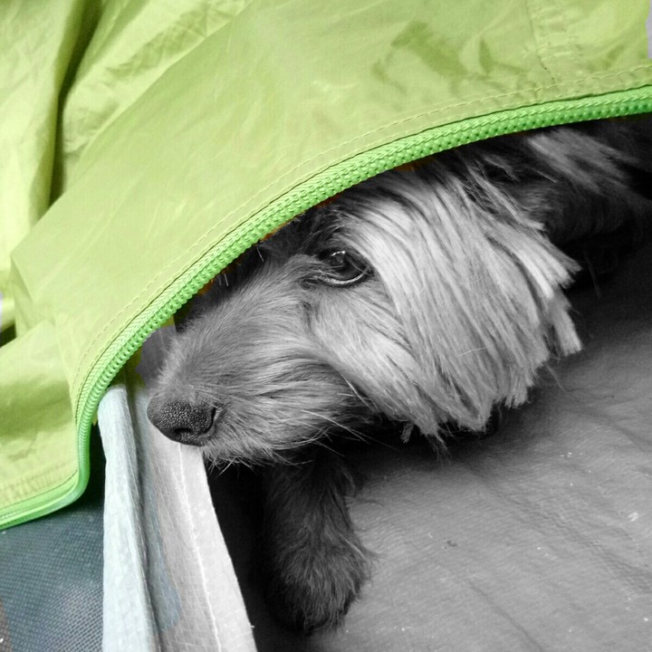 Titou