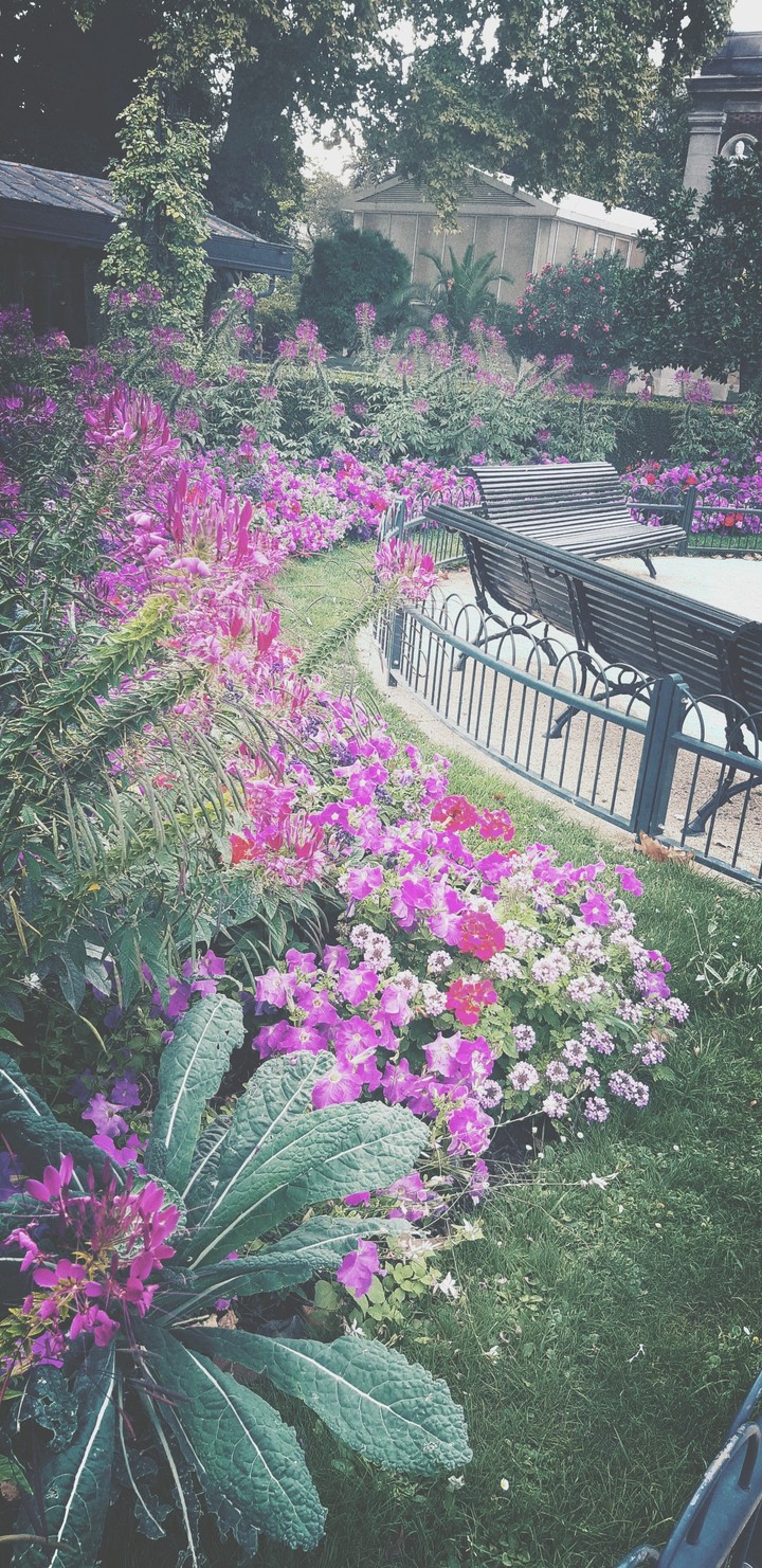 Park