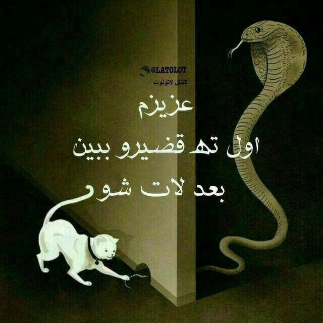 ###