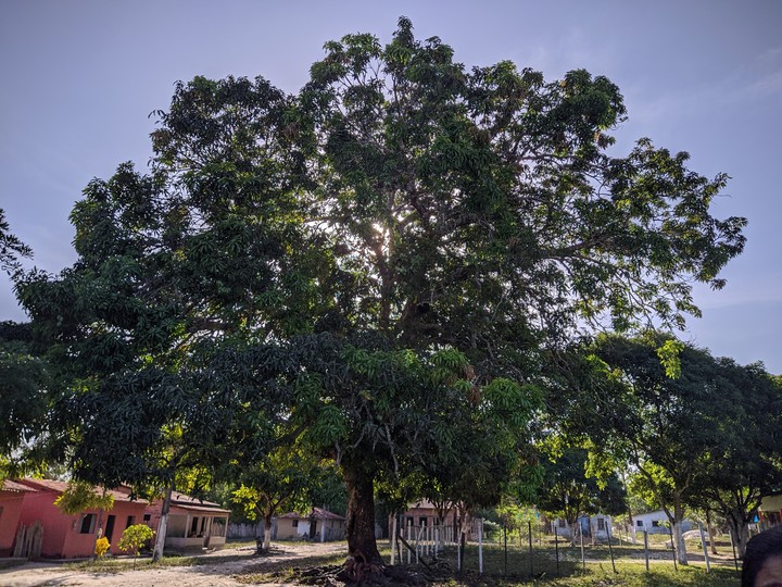 Contemple a beleza da criação de Deus