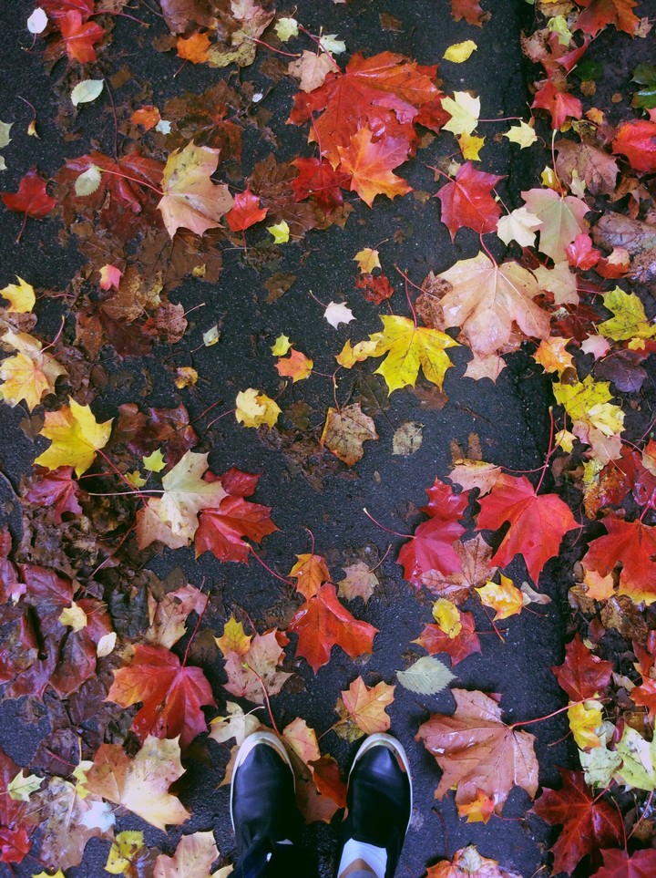 wet autumn