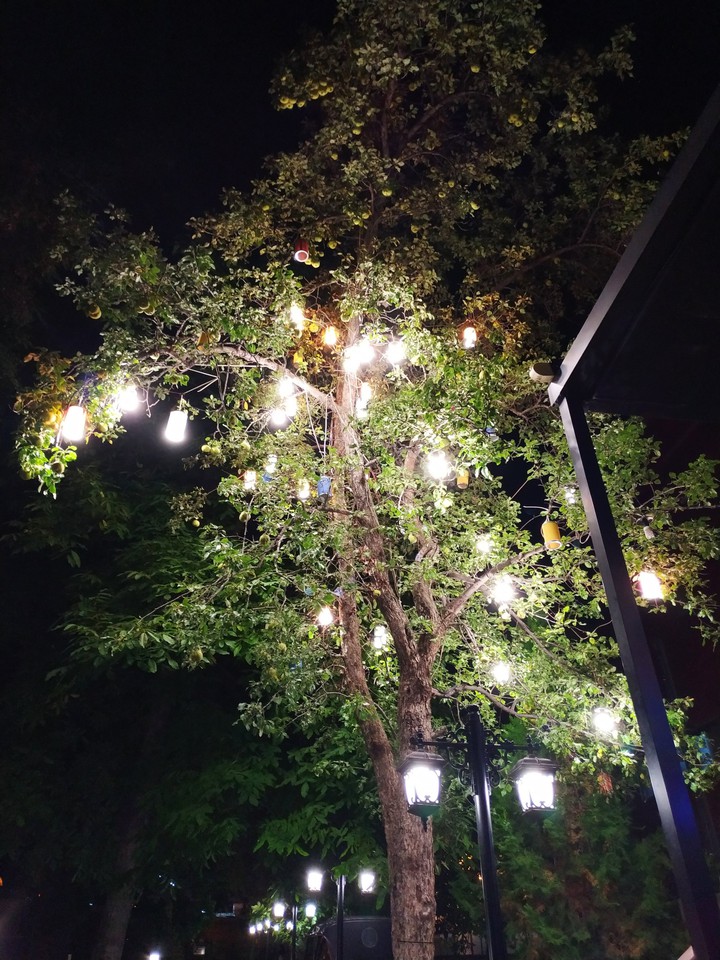 light tree