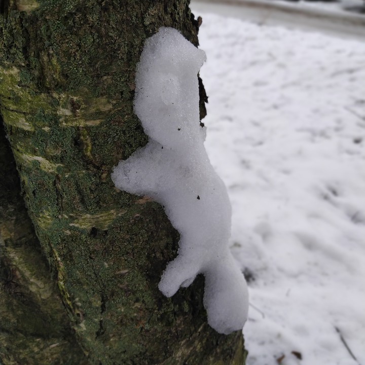 белка