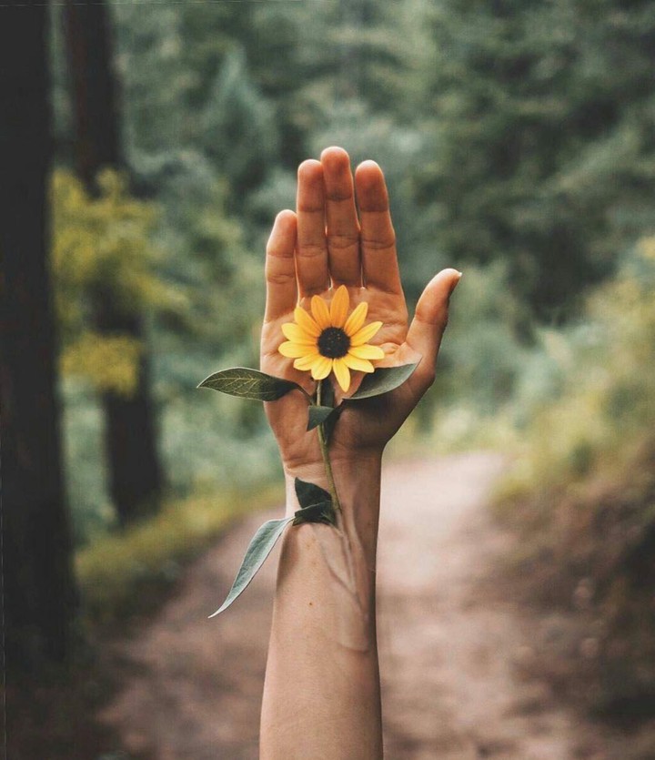 hand