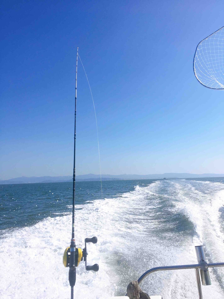 바다