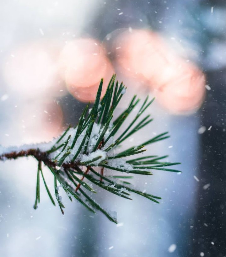 Winter