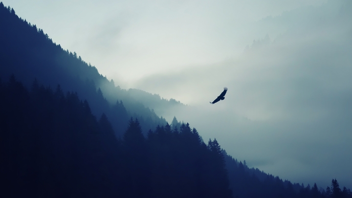 mother nature
