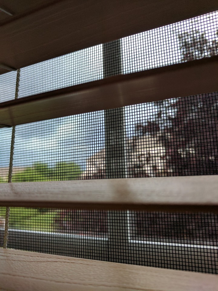 Eery afternoon
