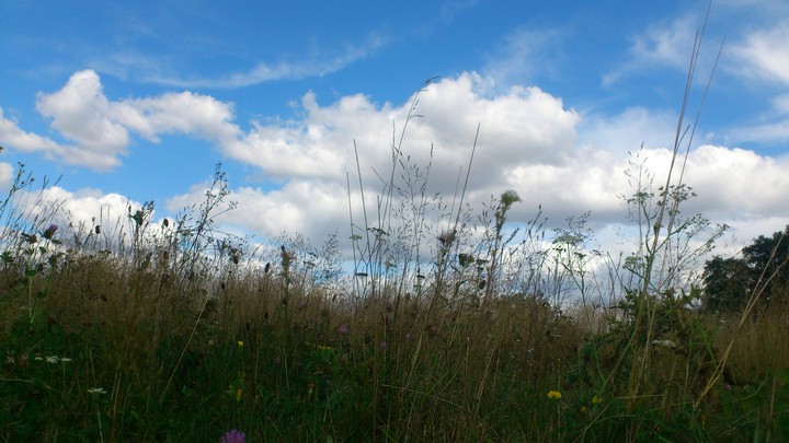 sky