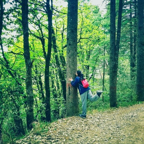 Nature Love