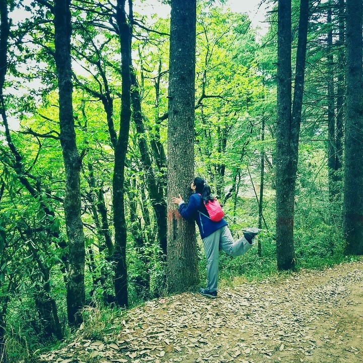 Nature Love