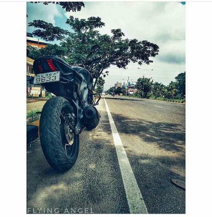 Dominer