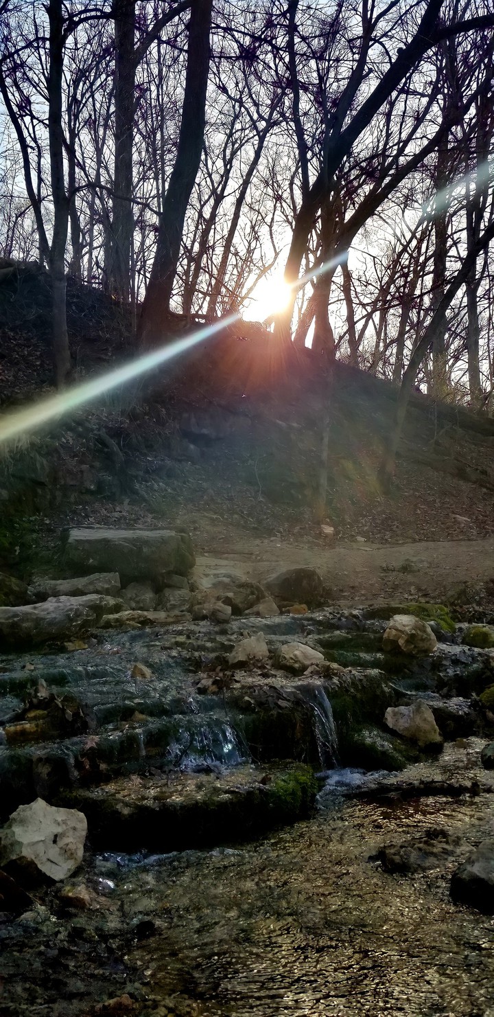 sun rays