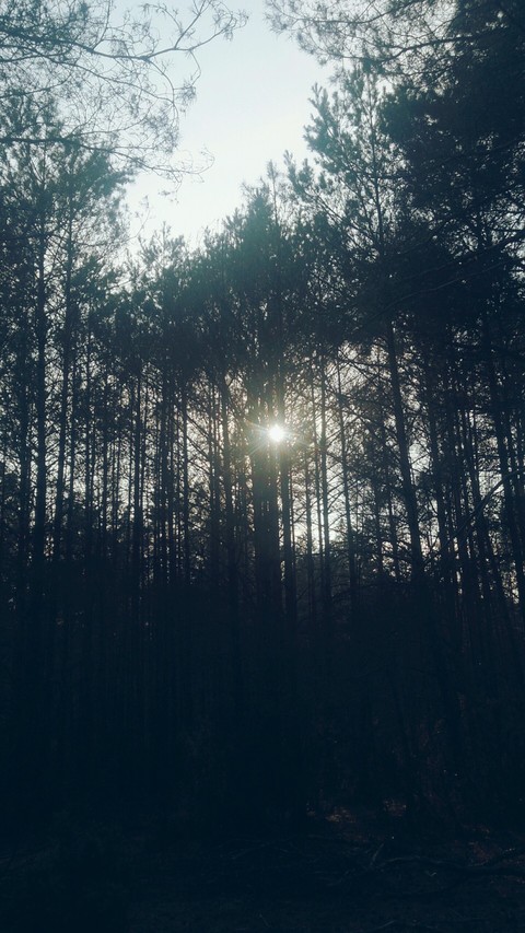 go towards the sun