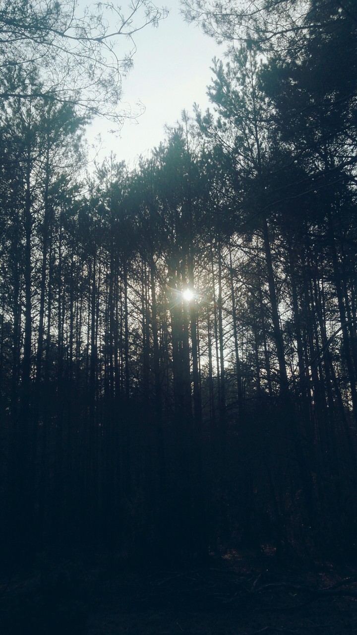 go towards the sun