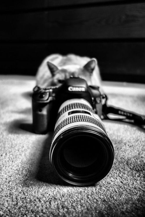 camera