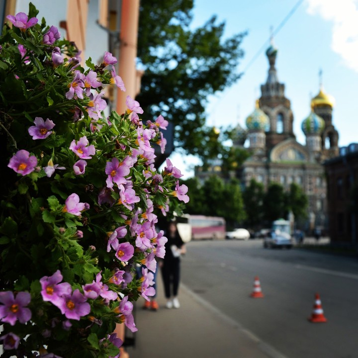 Питер