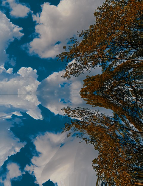lago