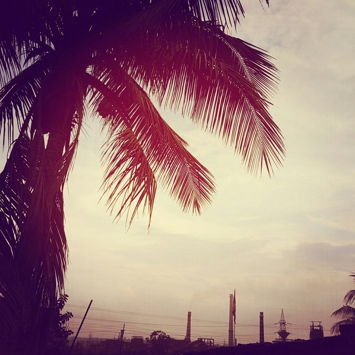 Nature
