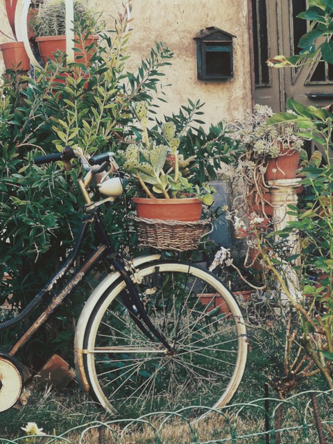 Bicicletta