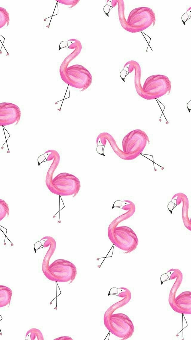 flamingo