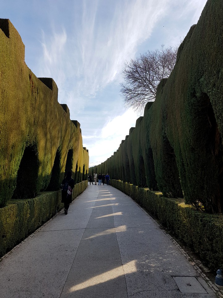 Alhambra Garden