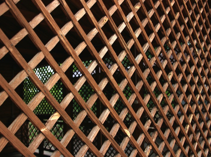 Lattice