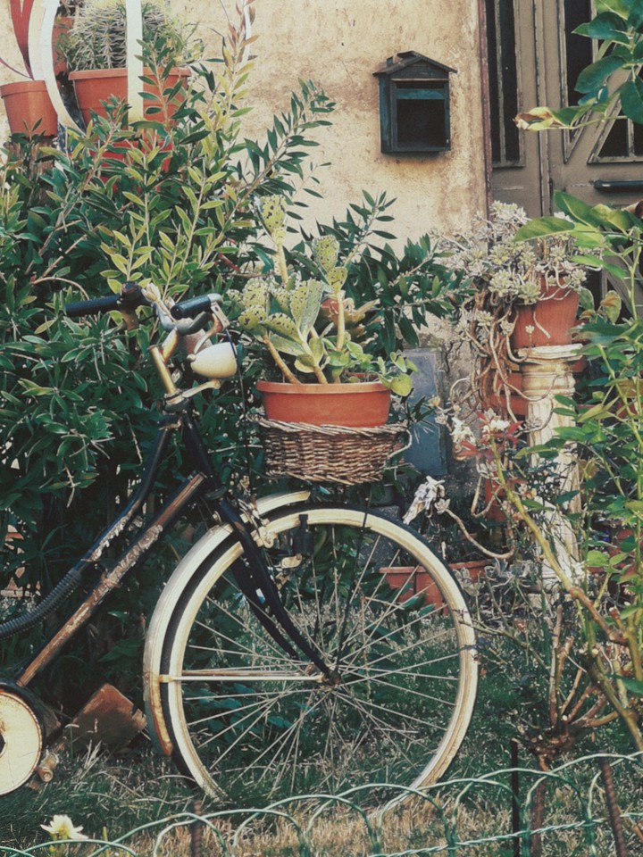 Bicicletta