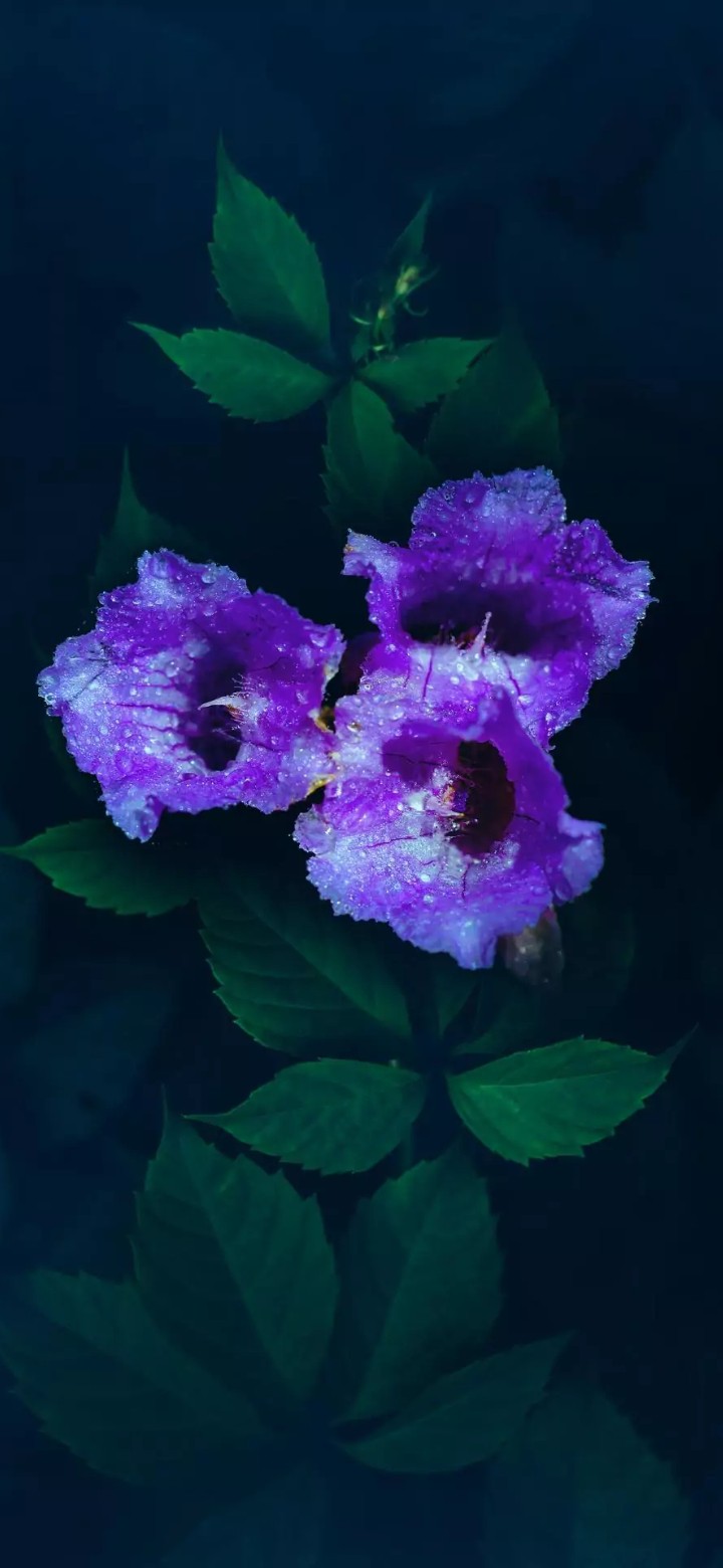 S.M.