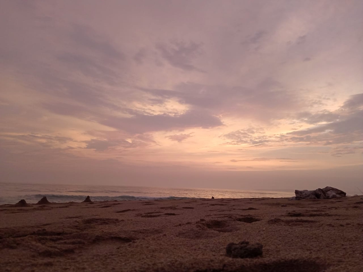 nature is love