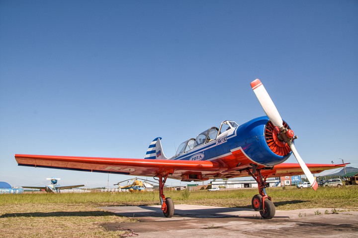 yak 52