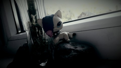 lps