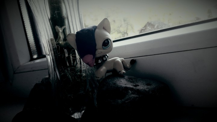 lps