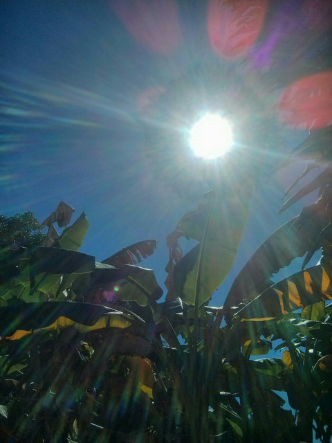 Mi Sol del Caribe