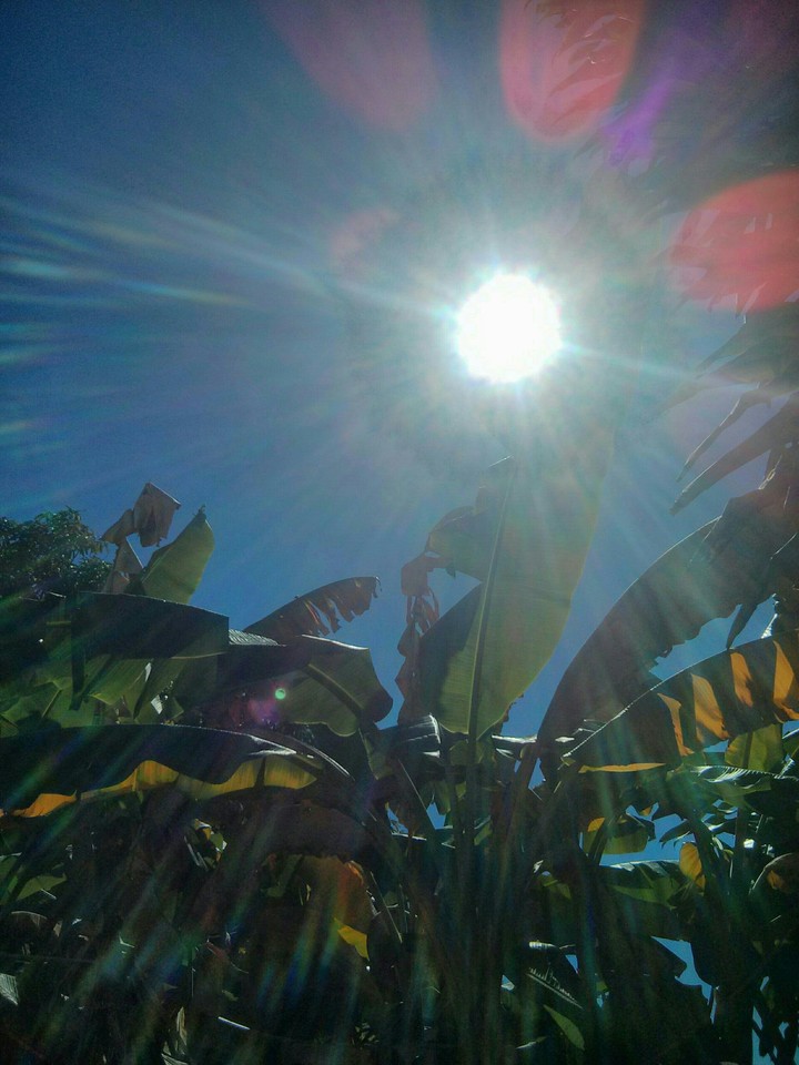 Mi Sol del Caribe