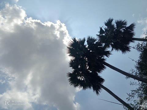 cloud