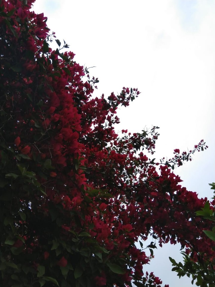 just nature us perfect beauty