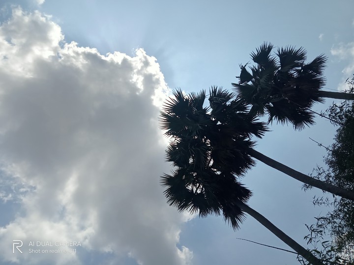 cloud