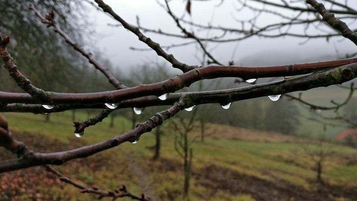 water drops