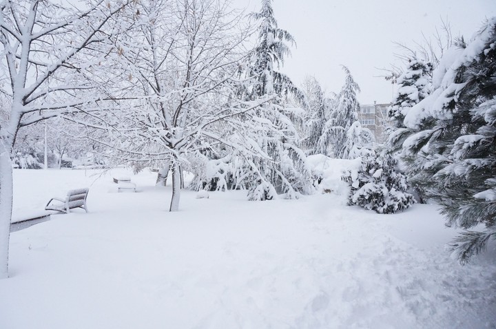 Everything is white and beautiful