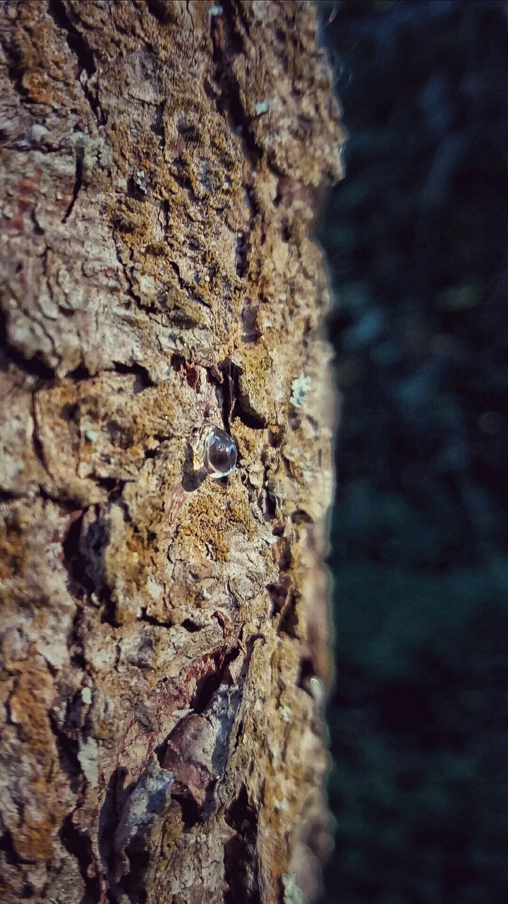 droplet
