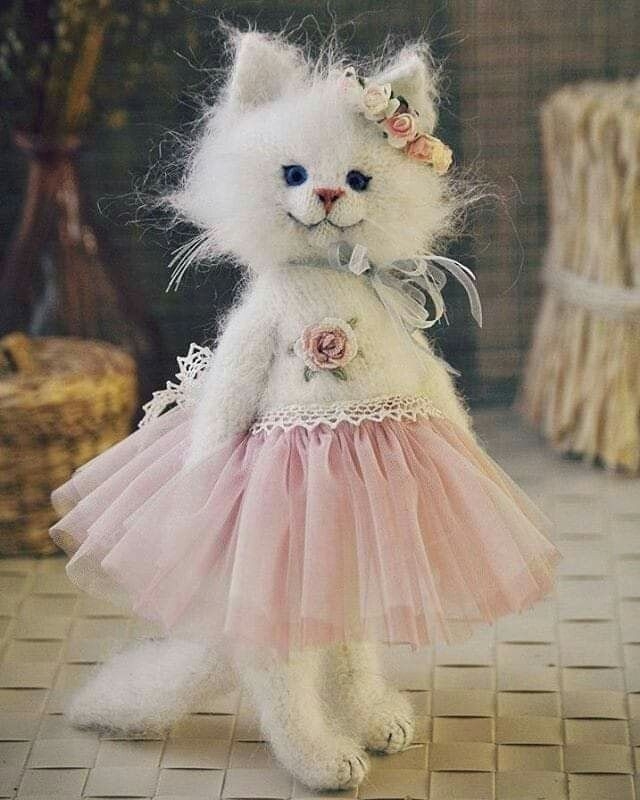 minina