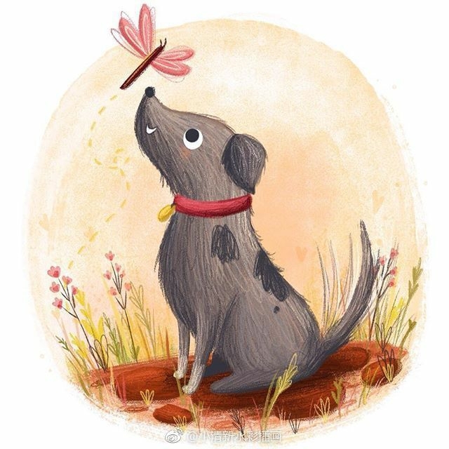 dog and butterfly