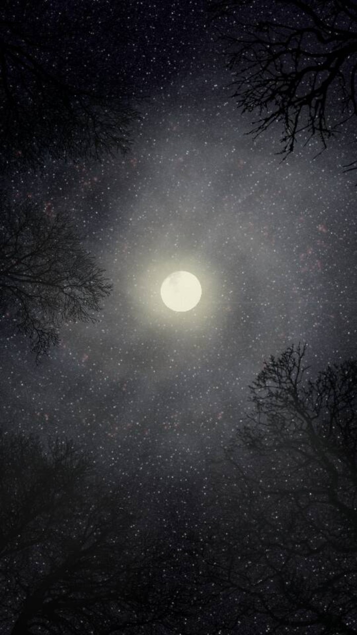 Moon