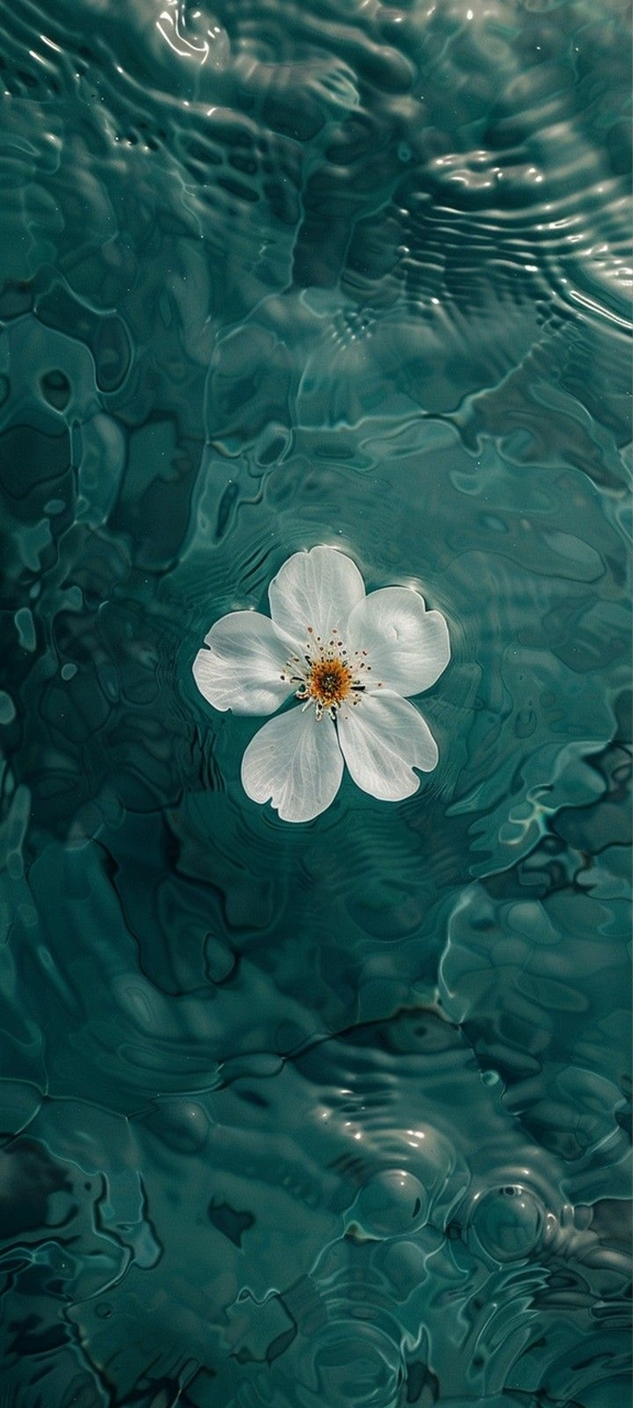 sfondi petal, Fluid