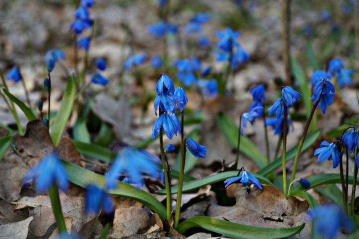 Spring...