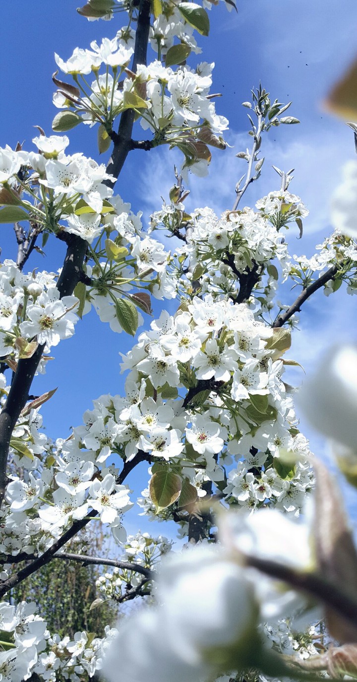 Frühling