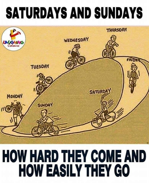 Funny Truth