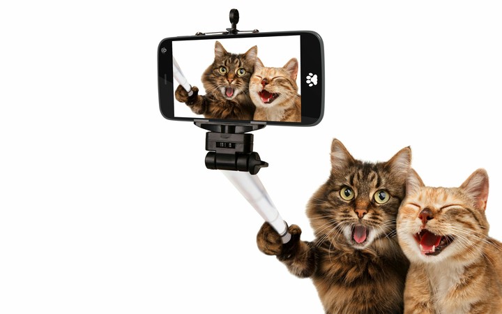 funny pair